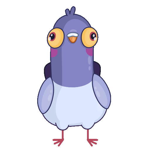 Pigeon